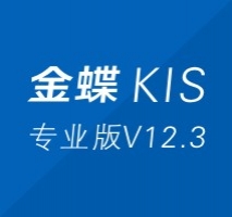 金蝶KIS专业版V12.3